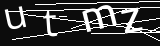 verifycode